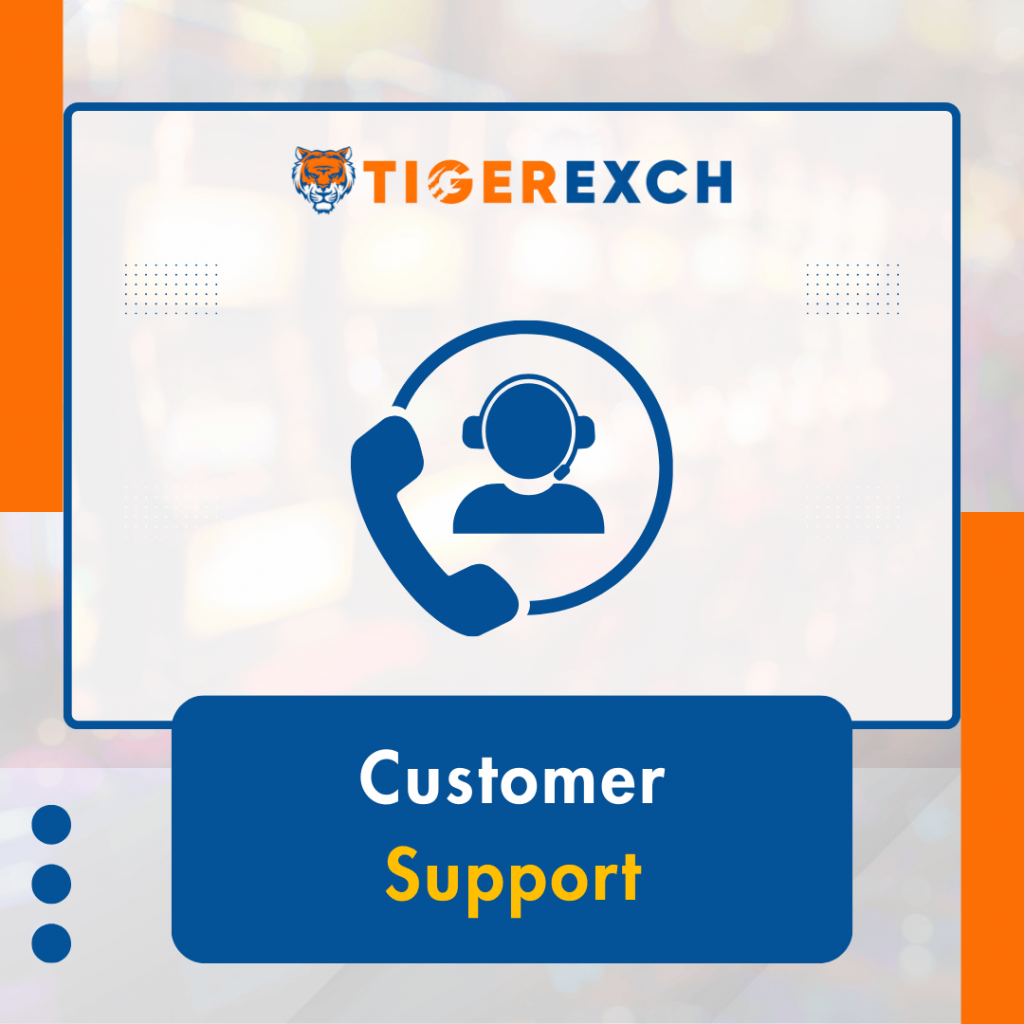 Customer Support – 24/7 Tiger Exch Assistance